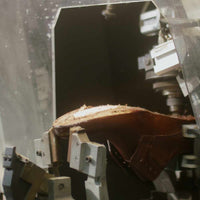 Machine of Truth