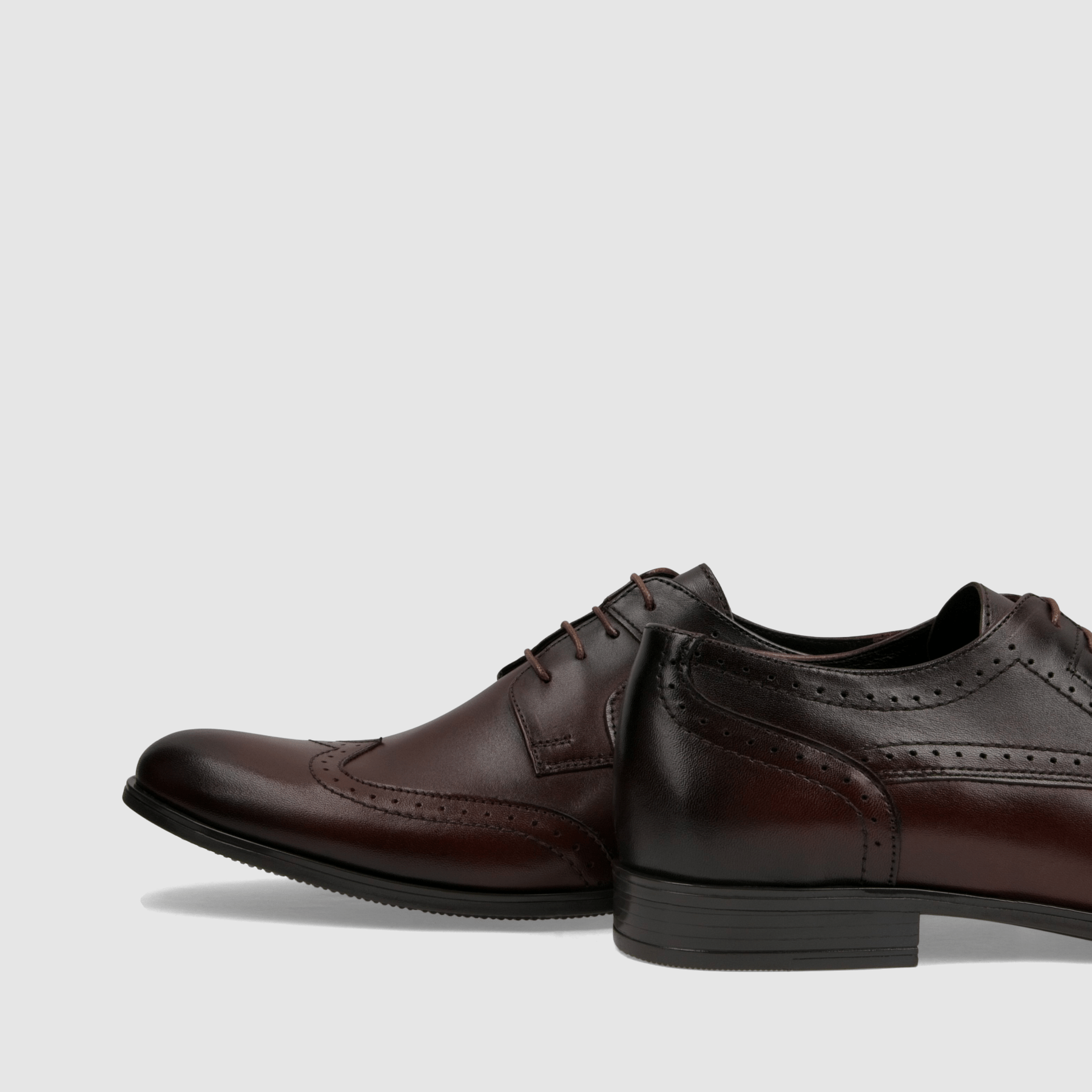 Półbut wizytowy TAPI H - 5651 brązowa licowa skóra - TAPI nero - Półbuty eleganckie sznurowane - Brązowy - 5